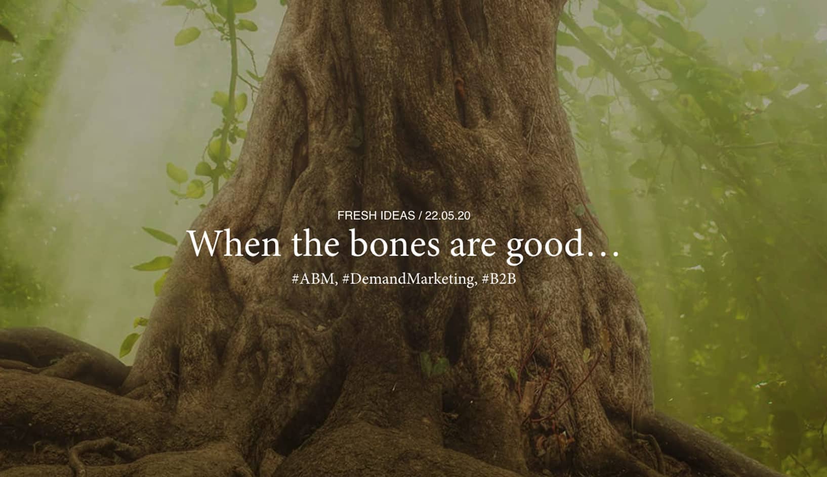 When the bones are good…